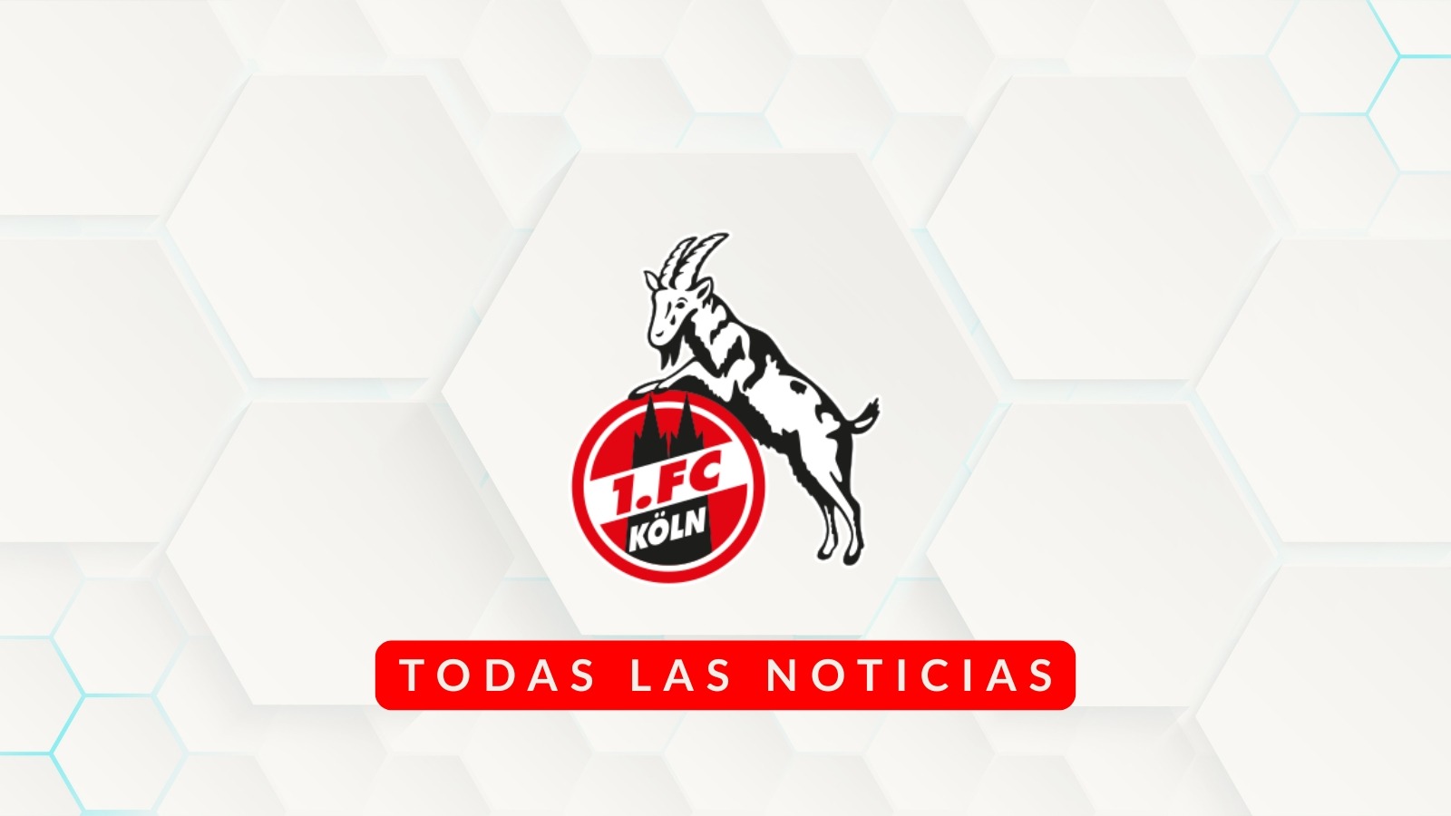 1 Noticias FC Köln - Frauen Bundesliga